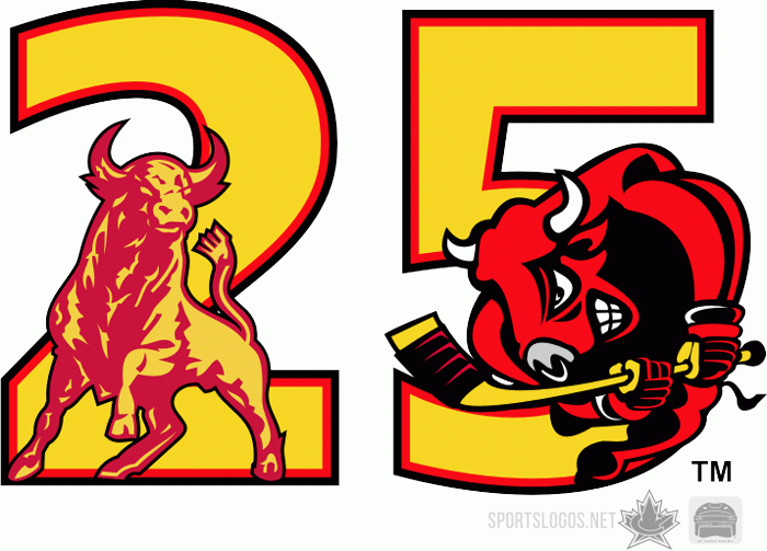 Belleville Bulls 2005 anniversary logo iron on transfers for clothing
